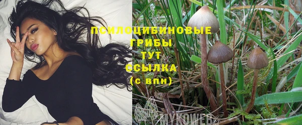 гидра Алексеевка