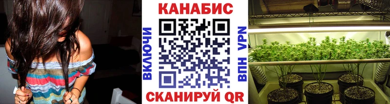 МЕГА tor  Покров  Шишки марихуана планчик 